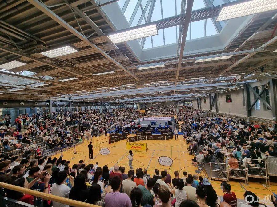 樊振东德甲首秀，两连败！2500名观众涌入，对手：他需要时间